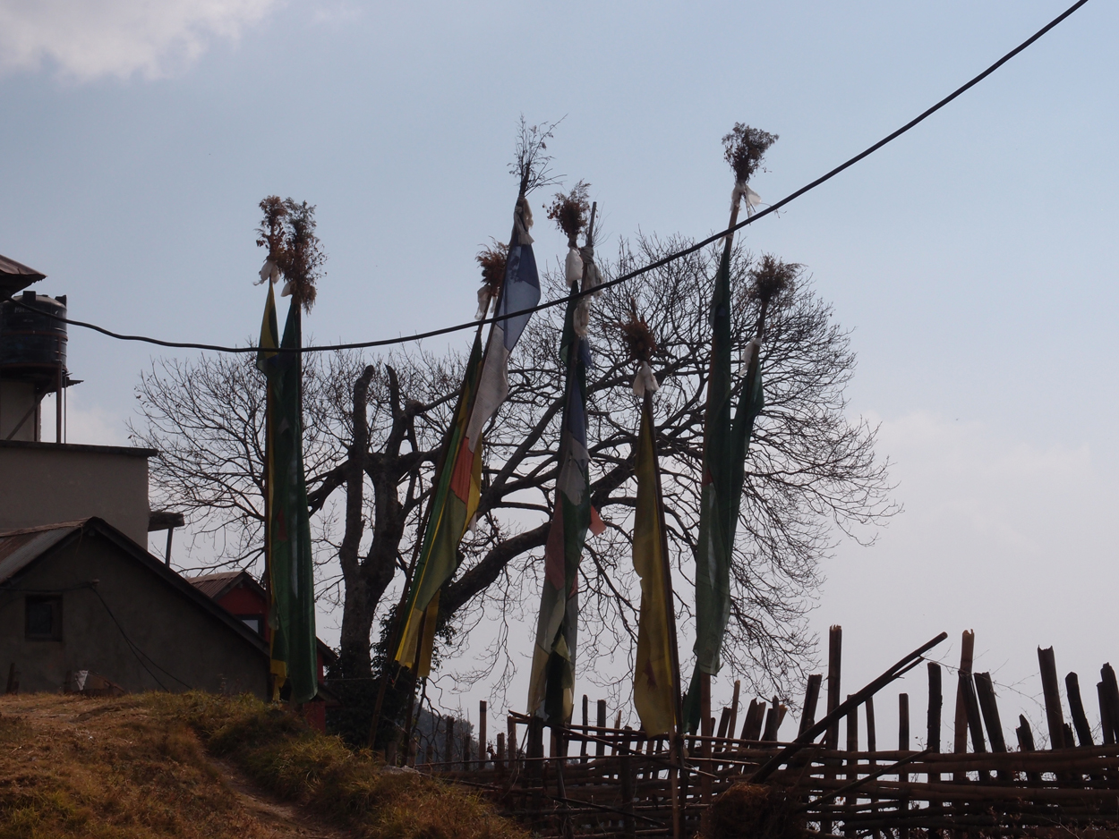 2018-01-16 12 Uhr - Im Shivapuri Nagarjun National Park (Nagi Gumba) (Foto) 